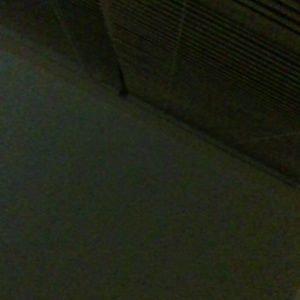 Meet your Posher, Isabella